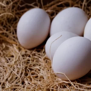Fresh Farm Chicken Eggs